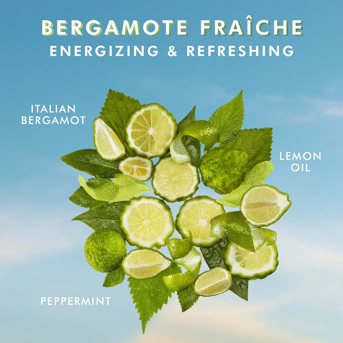 Kem tay Bergamote Fraiche